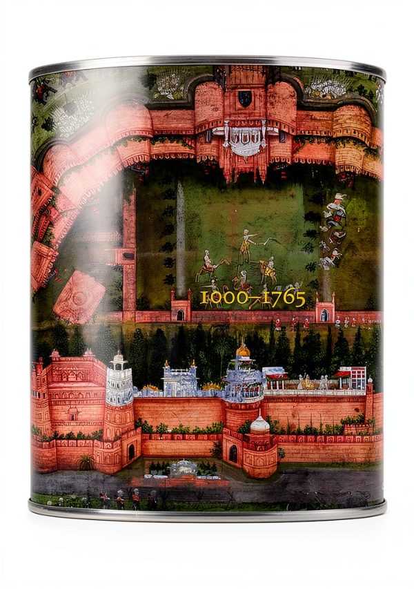 History of Hinduism Kindle eBook California Press 514 Page-0