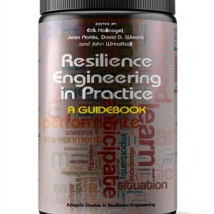 CRC Press Quality Control Kindle eBook 370‑Page Resilience Guide-0